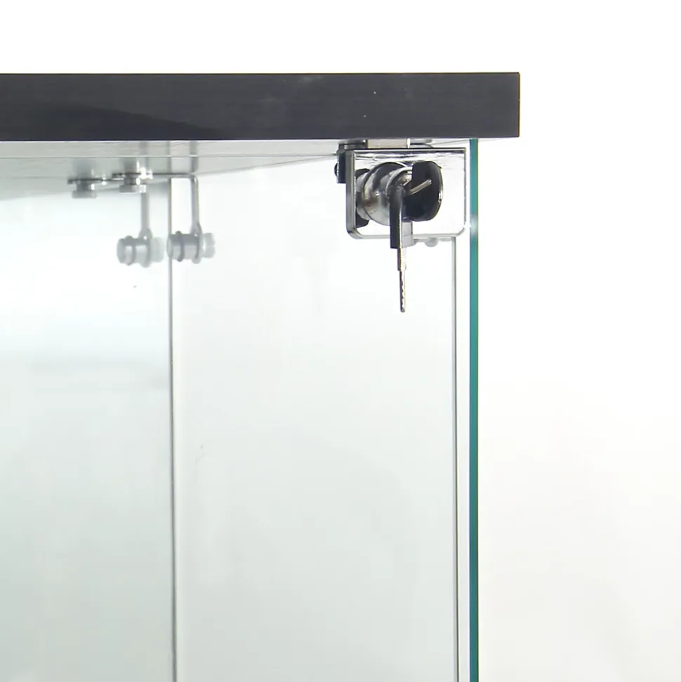 Vitrine En Verre Avec LED Et Miroir, Avec 1 Porte Et 4 Étagères, Pour Salon, Noir