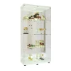 Vitrine En Verre Avec Miroir Et Éclairage LED,2 Portes,4 Étagères,convient Pour Bureau, Salon,blanc