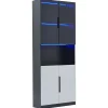 Vitrine Moderne - Vitrine avec Portes Vitrées et LED, Meuble de Rangement et Bibliothèque - 80 x 30 x 200 cm - Noir
