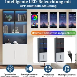 Vitrine Moderne - Vitrine avec Portes Vitrées et LED, Meuble de Rangement et Bibliothèque - 80 x 30 x 200 cm - Noir