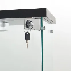 Vitrine sur pied en verre, LED, 4 couches, 1 porte, 42x36x164cm, pour salon, chambre à coucher, bureau, Noir