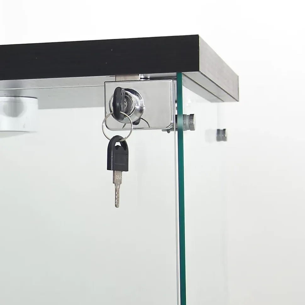 Vitrine sur pied en verre, LED, 4 couches, 1 porte, 42x36x164cm, pour salon, chambre à coucher, bureau, Noir